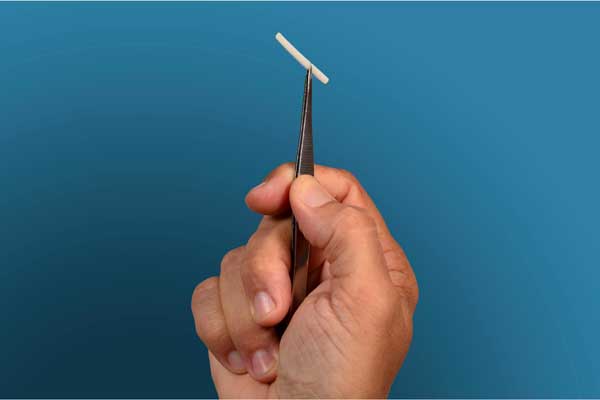 L’implant contraceptif de desloréline est placé sous la peau de la chienne afin d’agir temporairement sur son activité hormonale et sa reproduction.