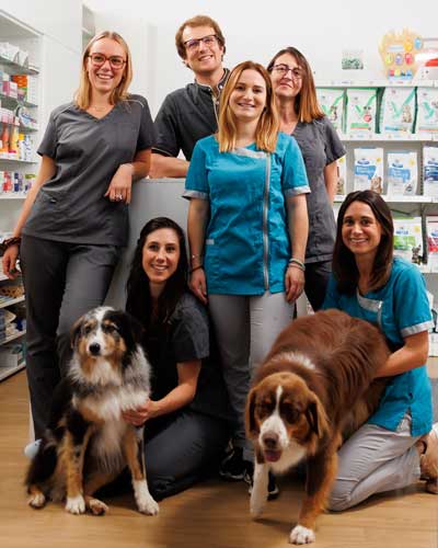 Votre équipe vétérinaire à la clinique St-Geours-de-Maremne